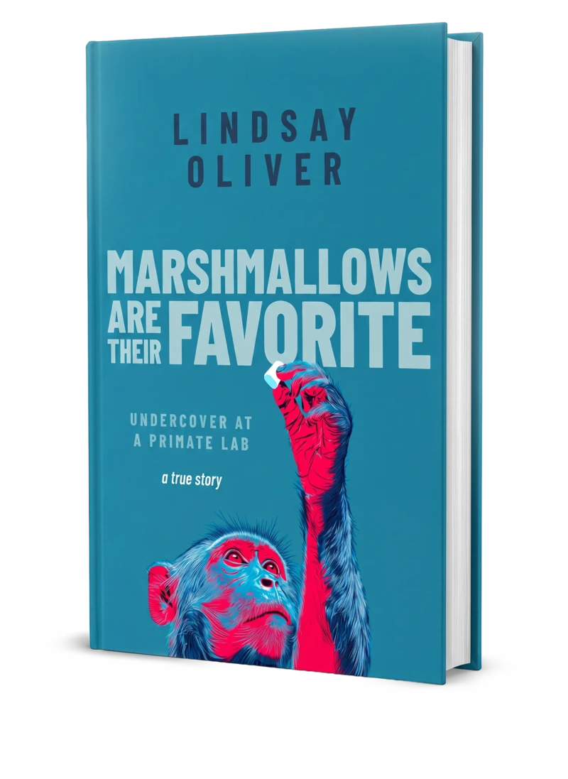 Marshmallows Are Their Favorite — book cover