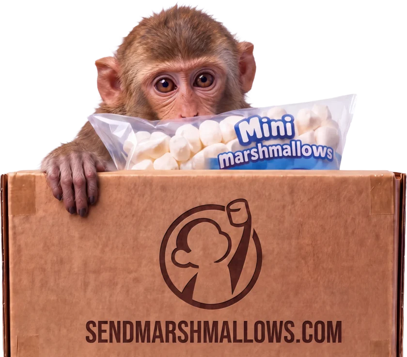 A young macaque holding a bag of mini marshmallows over a box printed sendmarshmallows.com